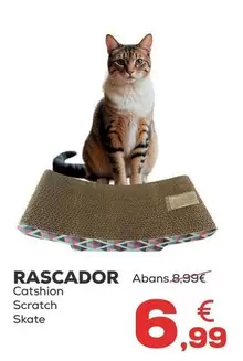 Oferta de Catshion - Rascador por 6,99€ en Kiwoko