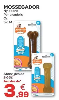 Oferta de Nylabone - Mossegador por 3,99€ en Kiwoko