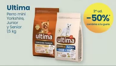 Oferta de Última - Perro Mini Yorkshire, Junior Y Senior en Clarel
