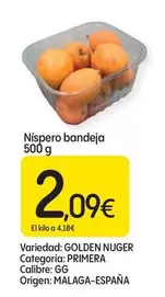 Oferta de Níspero Bandeja por 2,09€ en Dialprix
