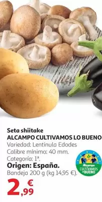 Oferta de Alcampo - Cultivamos Lo Bueno Seta Shiitake por 2,99€ en Alcampo