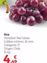Oferta de  Uva por 4,49€ en Alcampo
