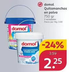 Oferta de Domol - Quitamanchas En Polvo por 2,25€ en Rossmann