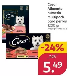 Oferta de Cesar - Alimento Húmedo Multipack Para Perros por 5,49€ en Rossmann