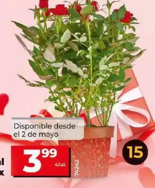 Oferta de Rosal Mini Mix por 3,99€ en Dia