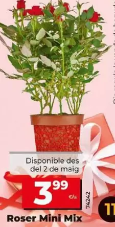 Oferta de Rosal Mini Mix por 3,99€ en Dia