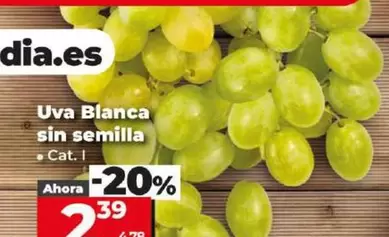 Oferta de Uva Blanca Sin Semilla por 2,39€ en Dia