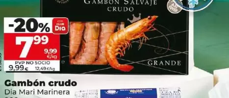 Oferta de Dia Mari Marinera - Gambón Crudo  por 7,99€ en Dia