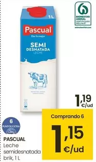 Oferta de Pascual - Leche Semidesnatada Brik por 1,19€ en Eroski