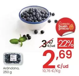 Oferta de Arandano por 2,69€ en Eroski