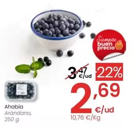 Oferta de Arandano por 2,69€ en Eroski