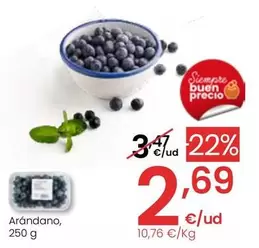 Oferta de Arandano por 2,69€ en Eroski