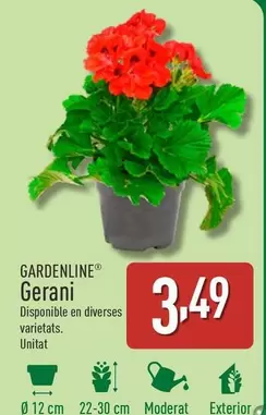 Oferta de Gardenline - Gerani por 3,49€ en ALDI