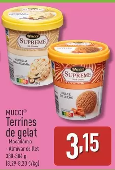 Oferta de Mucci - Terrines De Gelat por 3,15€ en ALDI