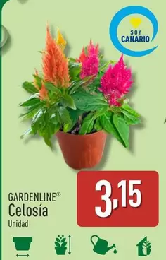 Oferta de Gardenline - Celosía por 3,15€ en ALDI