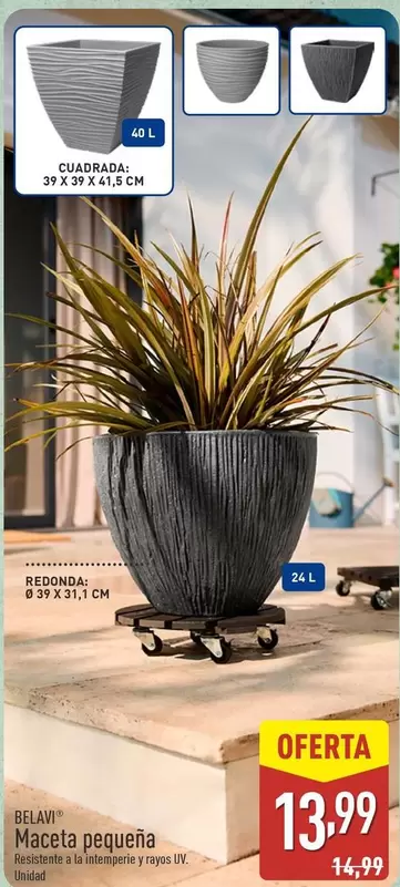 Oferta de Belavi - Maceta Pequena por 13,99€ en ALDI