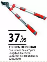 Oferta de Tisora De Podar por 37,95€ en Fes Més