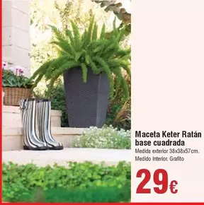 Oferta de Keter - Maceta Keter Ratán Base Cuadrada por 29€ en Froiz