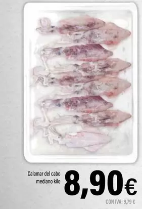 Oferta de Calamar Del Cabo Mediano Kilo por 8,9€ en Cash Ifa