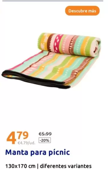 Oferta de Manta Para Picnic por 4,79€ en Action