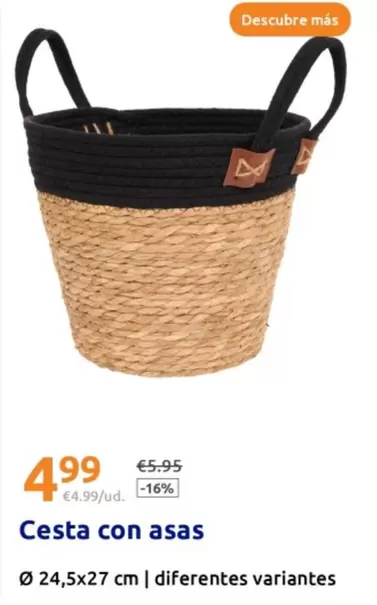 Oferta de Cesta Con Asas por 4,99€ en Action