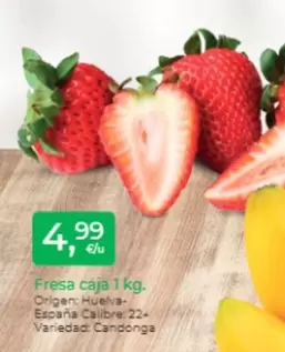 Oferta de Origen - Fresa Caja por 4,99€ en Tu Super