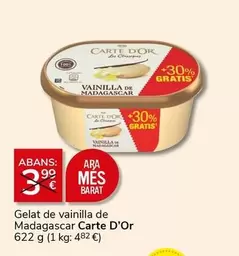 Oferta de Carte d'Or - Gelat De Vainilla De Madagascar por 3€ en Supermercados Charter