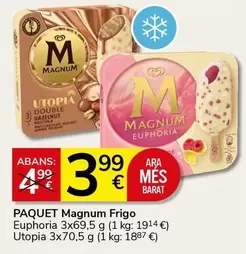 Oferta de Magnum -  Frigo por 3,99€ en Supermercados Charter