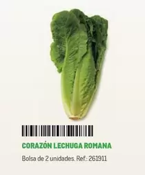 Oferta de Corazon Lechuga Romana en Makro