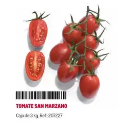 Oferta de San - Tomate San Marzano en Makro