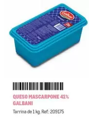 Oferta de Galbani - Queso Mascarpone 41% en Makro
