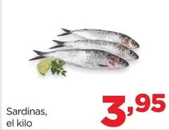 Oferta de Sardinas por 3,95€ en Alimerka