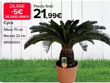 Oferta de Cyca por 21,99€ en Costco
