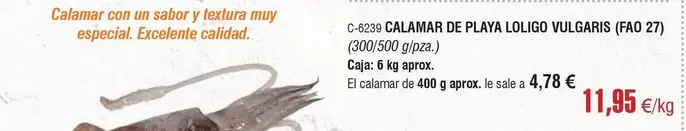 Oferta de Calamar De Playa Loligo por 11,95€ en Abordo