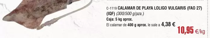 Oferta de Calamar De Playa Loliquo Vulgaris por 10,95€ en Abordo