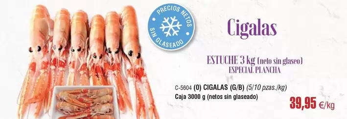 Oferta de Cigalas Estuche por 39,95€ en Abordo
