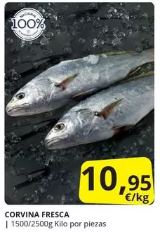 Oferta de Corvina Fresca por 10,95€ en Supermercados MAS