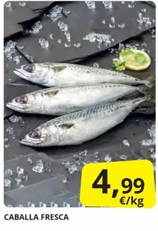 Oferta de Caballa Fresca por 4,99€ en Supermercados MAS