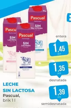 Oferta de Pascual - Leche Sin Lactosa por 1,45€ en SPAR Gran Canaria