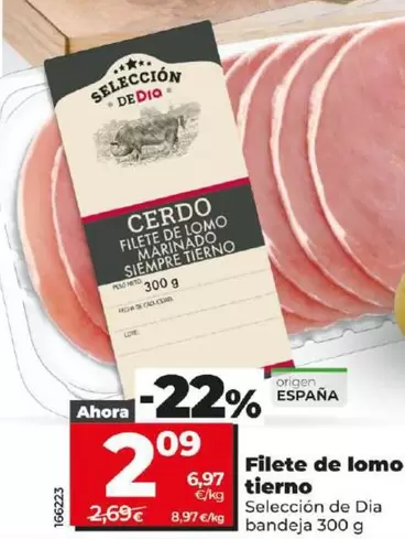 Oferta de Seleccion De Dia - Filete De Lomo Tierno  por 2,09€ en Dia