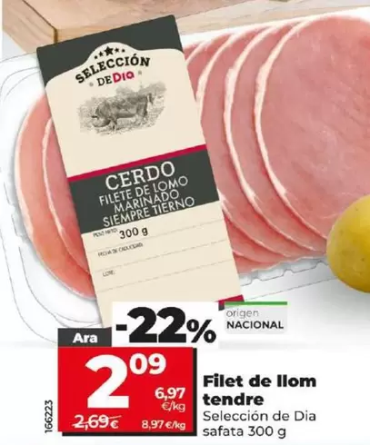 Oferta de Seleccion De Dia - Filete De Lomo Tierno  por 2,09€ en Dia