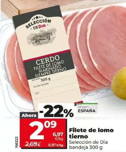 Oferta de Seleccion De Dia - Filete De Lomo Tierno  por 2,09€ en Dia