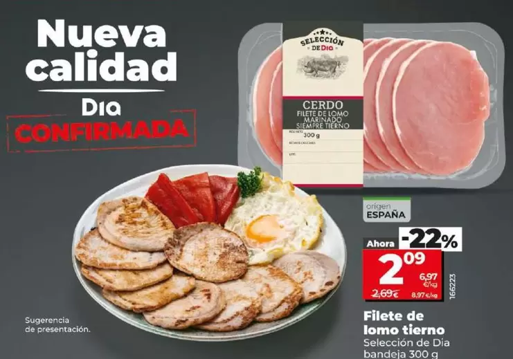 Oferta de Seleccion De Dia - Filete De Lomo Tierno por 2,09€ en Dia