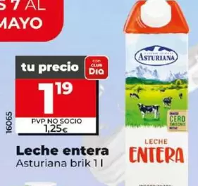 Oferta de Asturiana - Leche Entera Brik 1 L por 1,19€ en Dia