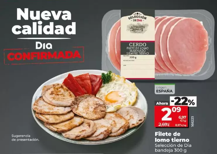 Oferta de Seleccion De Dia - Filete De Lomo Tierno  por 2,09€ en Dia