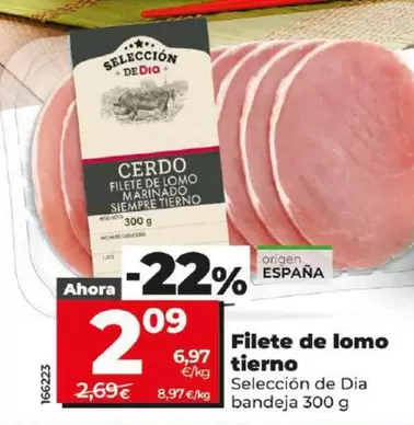 Oferta de Seleccion De Dia - Filete De Lomo Tierno por 2,09€ en Dia