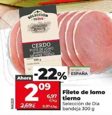 Oferta de Seleccion De Dia - Filete De Lomo Tierno por 2,09€ en Dia