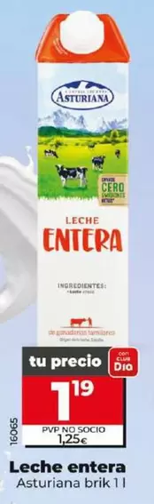 Oferta de Asturiana - Leche Entera Brik 1 L por 1,19€ en Dia