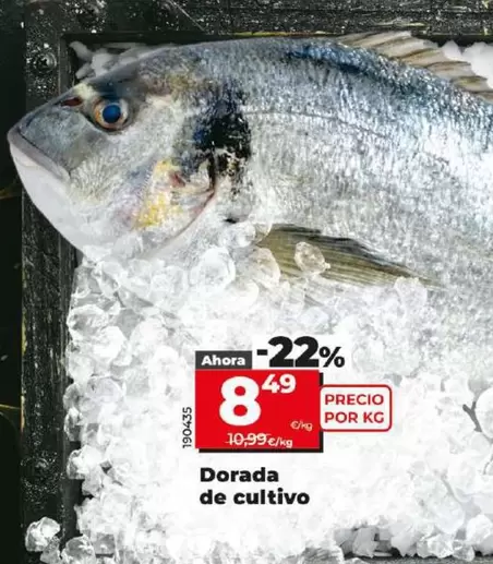 Oferta de Dorada De Cultivo por 8,49€ en Dia