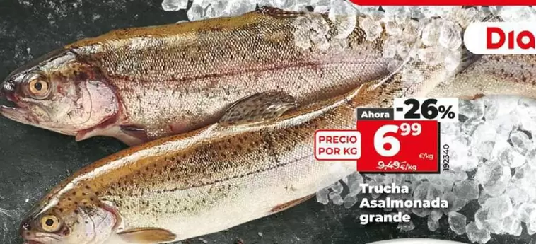 Oferta de Trucha Asalmonada Grande por 6,99€ en Dia